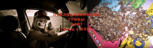 a pvp Баксан