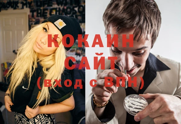 сатива Аркадак