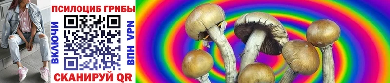 Псилоцибиновые грибы Psilocybine cubensis  darknet клад  Циолковский  где купить наркоту 