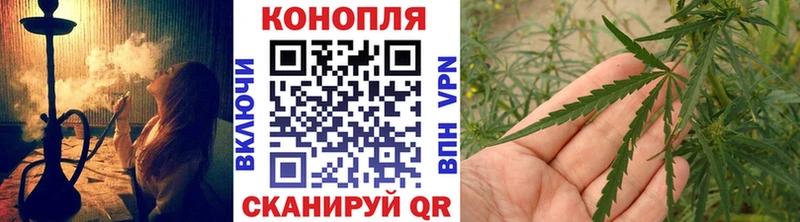 наркошоп  Циолковский  гидра ссылки  МАРИХУАНА OG Kush 